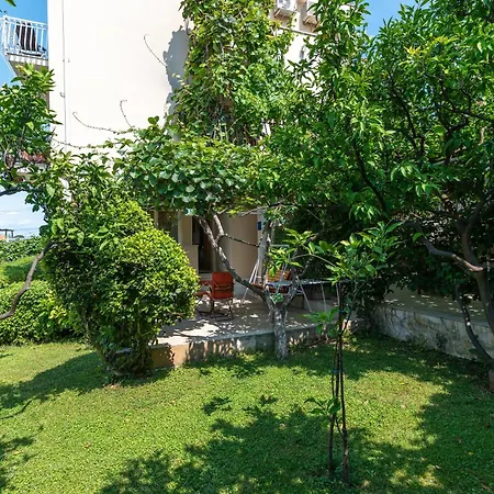 Bakica Trogir