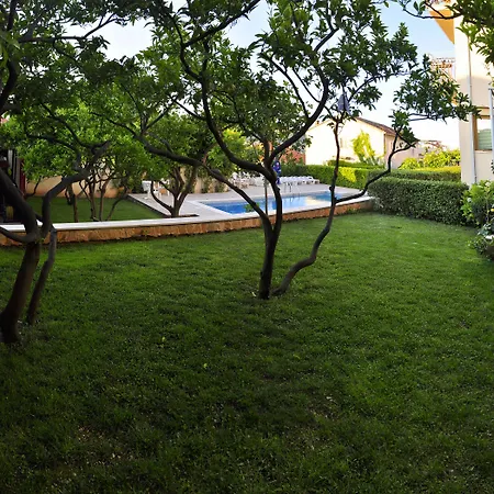 Bakica トロギール