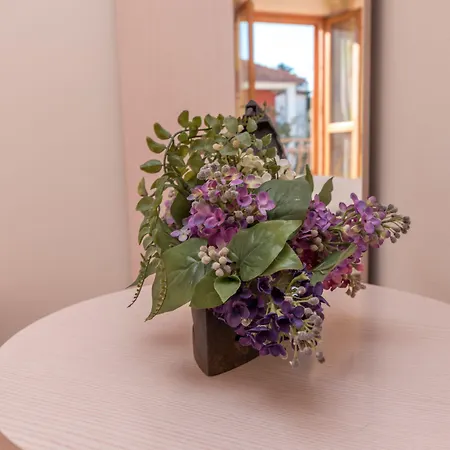Guest house Villa Bakica